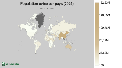 Population ovine par pays (2024) Thumbnail