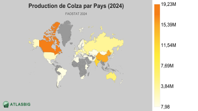 Production de Colza par Pays (2024) Thumbnail