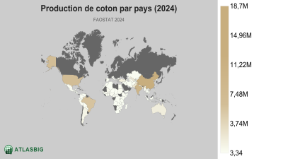 Production de coton par pays (2024) Thumbnail