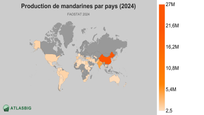 Production de mandarines par pays (2024) Thumbnail