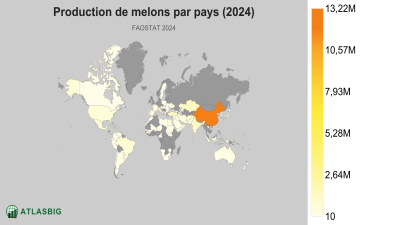 Production de melons par pays (2024) Thumbnail