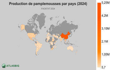 Production de pamplemousses par pays (2024) Thumbnail