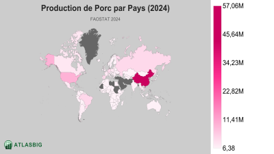 Production de Porc par Pays (2024) Thumbnail