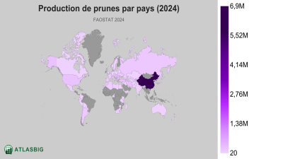 Production de prunes par pays (2024) Thumbnail