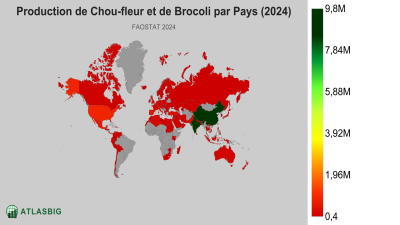 Production de Chou-fleur et de Brocoli par Pays (2024) Thumbnail