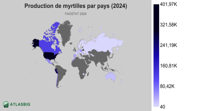 Production de myrtilles par pays (2024) Thumbnail