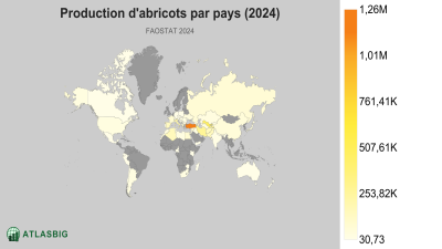 Production d'abricots par pays (2024) Thumbnail