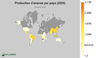 Production d'ananas par pays (2024) Thumbnail
