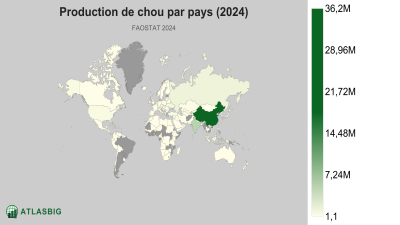 Production de chou par pays (2024) Thumbnail