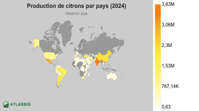Production de citrons par pays (2024) Thumbnail