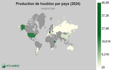 Production de houblon par pays (2024) Thumbnail