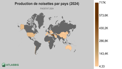 Production de noisettes par pays (2024) Thumbnail