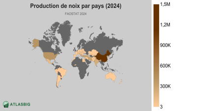 Production de noix par pays (2024) Thumbnail