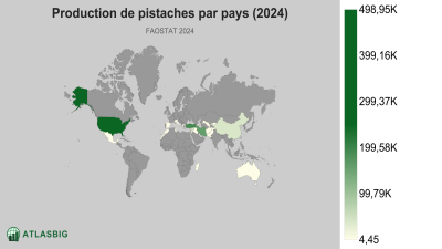Production de pistaches par pays (2024) Thumbnail