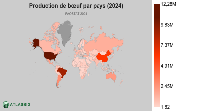 Production de bœuf par pays (2024) Thumbnail